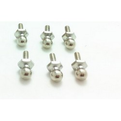 HSP 02038