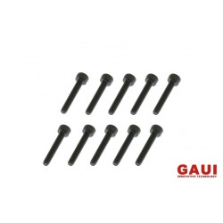 GAUI 842014 (M2x14)