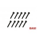 GAUI 842014 (M2x14)