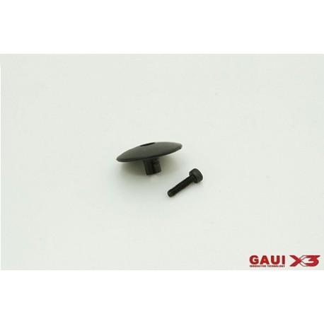 GAUI 216123 (031403)