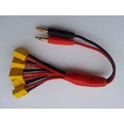 4mm vers XT60*5