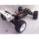 ZD racing Truggy 1/8e 9008