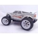 ZD racing Buggy 1/16e 9055